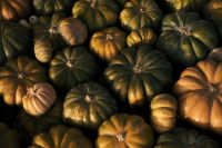Kaboompics - Dark Green Pumpkins in Warm Light