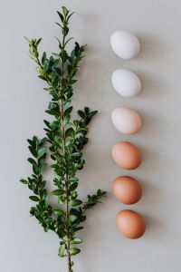 Kaboompics - White and Brown Eggs Along a Boxwood Sprig with Soft Ribbon Detail, Neutral Easter Background