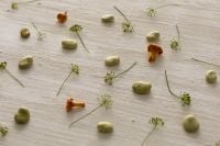 Kaboompics - Broad Beans, Chanterelles and Herbs Flat Lay