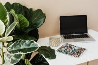 Kaboompics - Leafy Houseplant, Laptop and Coffee on a Neutral Marble Desk