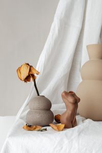 Kaboompics - Dried Rose in Speckled Vase with Sculptural Pottery
