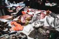 Kaboompics - Market Fish and Seafood Display on Ice, Barcelona