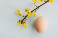Kaboompics - Easter Eggs & Forsythia