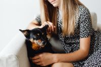 Kaboompics - Student Holding Small Dog on Armchair