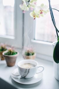 Kaboompics - Steaming Coffee by a Window with Orchids and Potted Plants