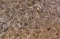 Kaboompics - Clear Seawater over Pebbles with High-Contrast Rippled Light