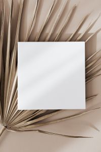 Kaboompics - Large Blank Card over Dried Palm Leaf Flat Lay Background
