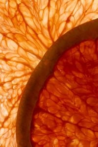 Kaboompics - Close-Up Grapefruit Slices in Backlight