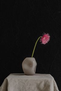 Kaboompics - Pink Flower and Dried Grass in a Dark Round Vase