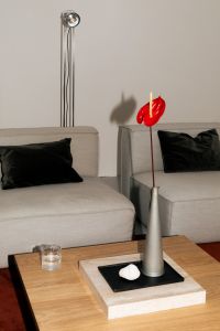 Kaboompics - Modern Living Room With Sofa Coffee Table And Red Anthurium