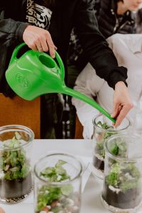 Kaboompics - Watering a Glass Jar Terrarium with a Green Watering Can at a DIY Plant Workshop