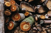 Kaboompics - Wooden logs