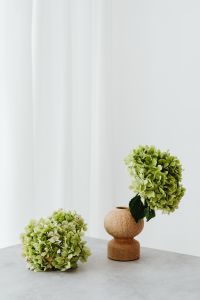 Kaboompics - Green Hydrangea Still Life on Marble