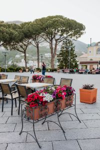 Kaboompics - Cafe Terrace beneath Umbrella Pines on Ravello Piazza