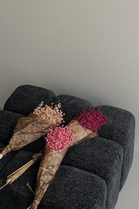 Kaboompics - Authentic Moments: A Free UGC-Styled Photo Collection Shot on iPhone