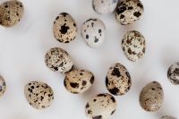 Kaboompics - Overhead Scatter of Speckled Quail Eggs on White Marble, Easter Background