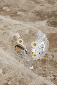 Kaboompics - Top View Glass Bowl with White Daisies on Marble