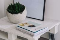 Kaboompics - Green plant with magazines