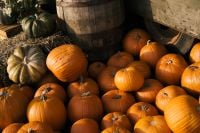 Kaboompics - Orange and Green Pumpkins Beside a Wooden Barrel