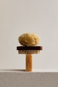 Kaboompics - Sea Sponge on a Wooden Bath Brush