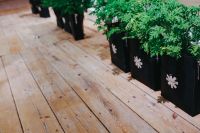 Kaboompics - Green Ferns in Black Planters Along a Wooden Design Exhibition Floor