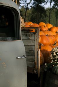Kaboompics - Pumpkin Display Beside a Vintage Truck