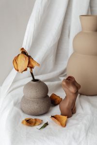 Kaboompics - Dried Rose and Sculptural Ceramic Vases on Draped Linen