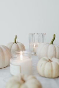Kaboompics - White Mini Pumpkins with Candle Close Up