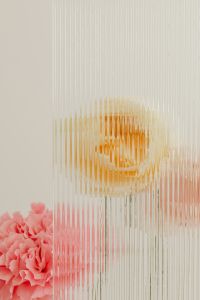 Kaboompics - Golden and Blush Flower Forms Blurred Behind Ribbed Glass, Vertical Botanical Background