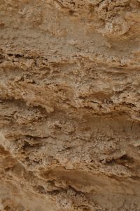 Kaboompics - Warm Tan Stone Texture with Natural Layered Relief