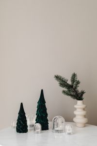 Kaboompics - Mini Christmas Trees and Evergreen Branch on Dark Background