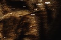 Kaboompics - Curved Golden Light Trails on Dark Brown, Abstract Motion Blur Texture Background