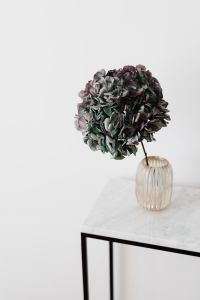 Kaboompics - Single Hydrangea Stem in Ribbed Vase on Marble Furniture
