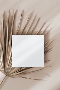 Kaboompics - Portrait Blank Card Framed by a Dried Palm Leaf Fan