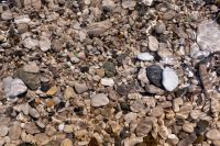 Kaboompics - Pebble Beach Background with Clear Water and Sunlit Caustic Patterns