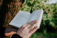 Kaboompics - Man Reading an Open Book Outdoors, Hand Resting on the Page in a Green Park