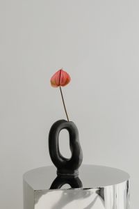 Kaboompics - Black Sculptural Vase with Anthurium on Reflective Pedestal