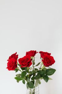Kaboompics - Red Rose Bouquet with Green Leaves on White