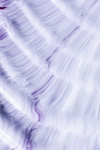 Kaboompics - Soft Lilac and White Brush Strokes for Calm Beauty and Editorial Backgrounds