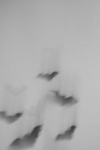 Kaboompics - Pale Halloween Background With Blurred Bats