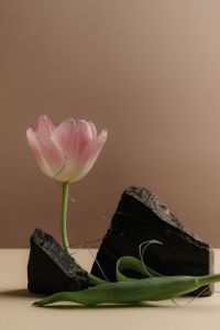 Kaboompics - Minimal Still Life With Eggs Bread And Flowers Inspired By Easter