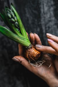 Kaboompics - Woman making a little ornamental seedling in a small jar
