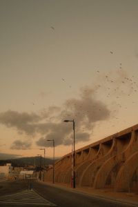 Kaboompics - Curved Waterfront Wall on Malaga Port Road