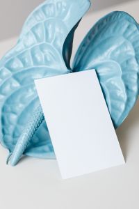 Kaboompics - Blank Business Card Mockup with Blue Anthurium Flower