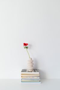 Kaboompics - Minimal Red Poppy Vase and Books on a White Table
