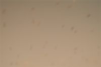 Kaboompics - Soft Beige Stucco Wall Texture with Subtle Weathering