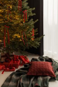 Kaboompics - Christmas Tree by Window With Red Gifts and Plaid Blanket