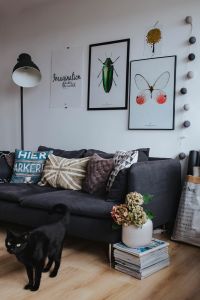 Kaboompics - Designer living room interior with a wooden box table and a light blue carpet