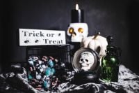 Kaboompics - Halloween Trick-or-Treat Candy Display with Skull Globe and White Pumpkins