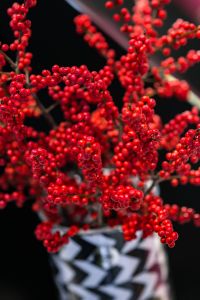 Kaboompics - Red rowan in a black-and-white pot